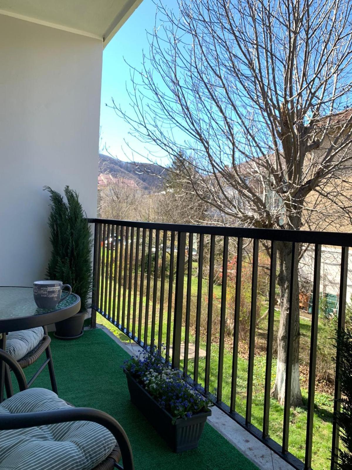 Rose Apartment Piatra Neamţ Dış mekan fotoğraf